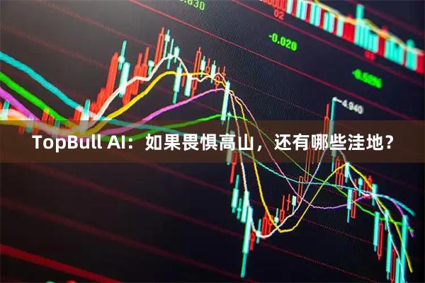 TopBull AI：如果畏惧高山，还有哪些洼地？
